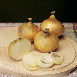 Crni Luk Senshyu Yellow