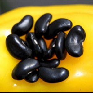 Pasulj ( visoki ) Harriet`s Hook