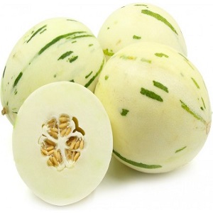 Dinja Silver Star vs Snow Leopard