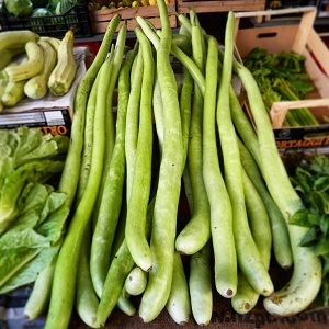 Tikvica / Tikva Serpente Di Sicilia