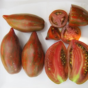 Paradajz Boar`s Tooth