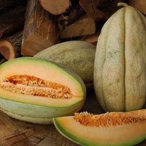 Dinja Old Time Tennessee