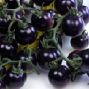 Paradajz Dancing with Smurfs