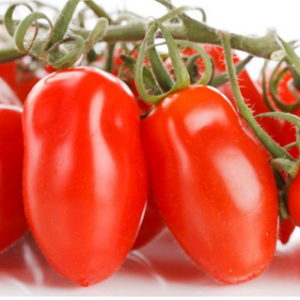 Paradajz San Marzano
