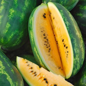 Lubenica Mountain Sweet Yellow