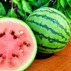 Lubenica Beni Kodama