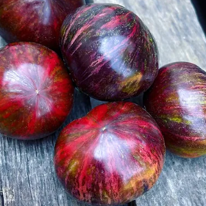 Paradajz The Musketeers