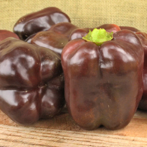 Paprika Chocolate Cake