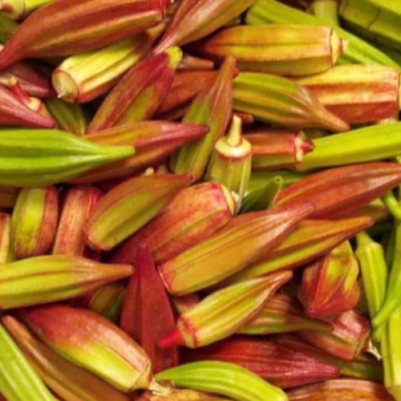 Bamija / Okra Red Country Hill